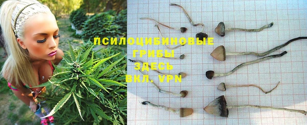 мяу мяу кристалл Каменногорск